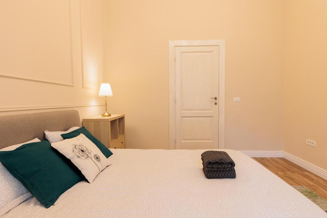 Cozy Apartment In The Historical City Center ティミショアラ エクステリア 写真