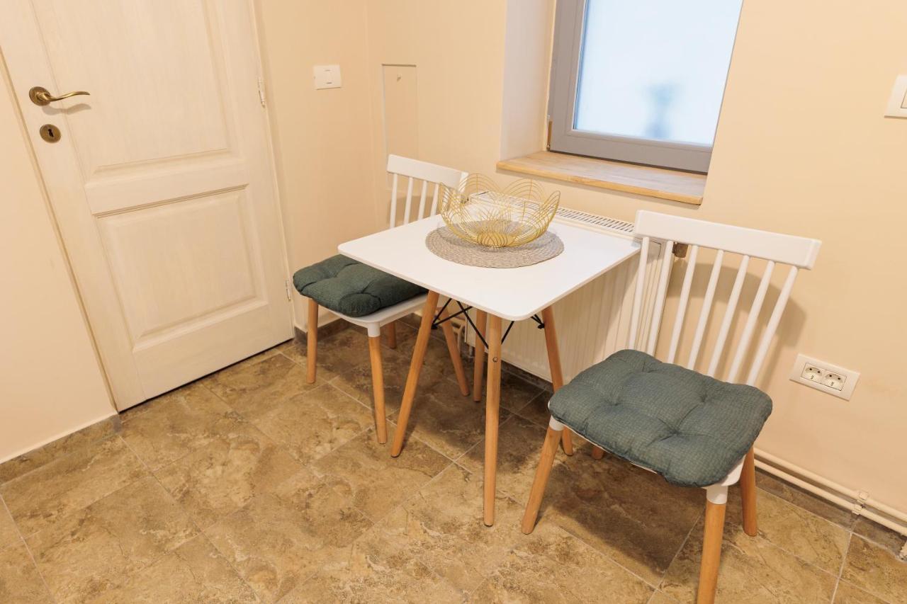 Cozy Apartment In The Historical City Center ティミショアラ エクステリア 写真